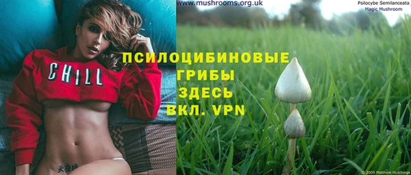 спиды Волоколамск