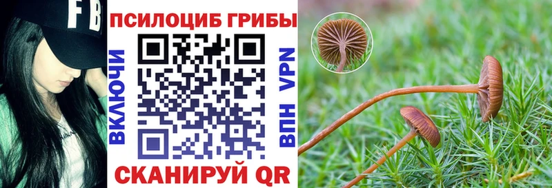 Галлюциногенные грибы прущие грибы Жигулёвск